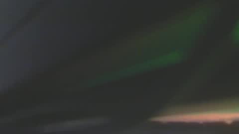 leowolf online show from December 8, 6:50 pm