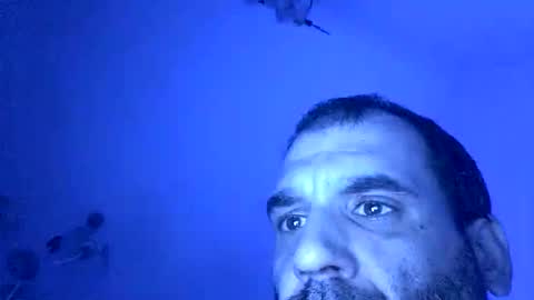 lechebizvm online show from November 4, 11:37 pm