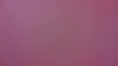 Michel online show from January 17, 6:23 pm