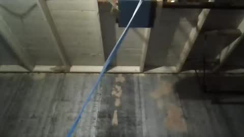 leo199984 online show from November 9, 5:17 am