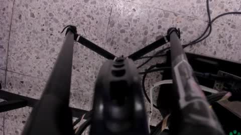 Leo  online show from November 11, 5:07 am