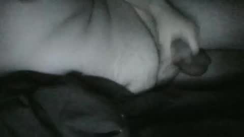 Snapshot of lethandor chatting on December 25, 6:52 am Rayne online show from December 25, 6:52 am