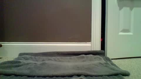 Lets Orgasm  online show from January 27, 12:54 am