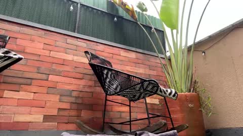 follow me  here you find me online show from March 21, 4:10 pm