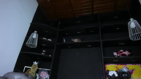 Snapshot of levy_steve chatting on February 16, 1:27 pm LevySteven online show from February 16, 1:27 pm