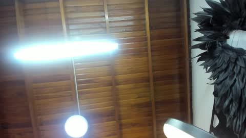 Snapshot of levy_steve chatting on November 7, 5:29 am LevySteven online show from November 7, 5:29 am