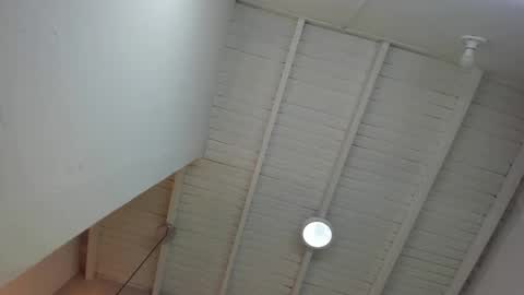 Snapshot of levy_steve chatting on November 24, 12:43 am LevySteven online show from November 24, 12:43 am