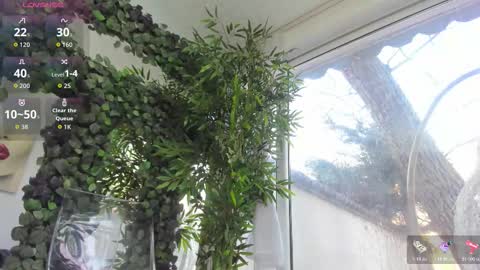 lexi_storm online show from February 12, 8:09 am