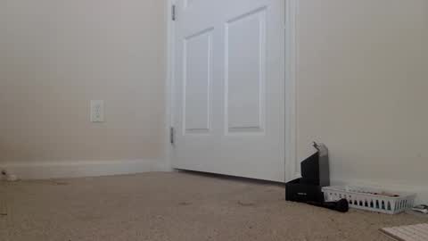 Alexia L. online show from February 6, 6:33 pm