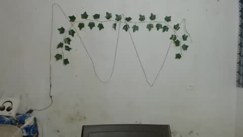 lolita online show from January 4, 2:14 pm