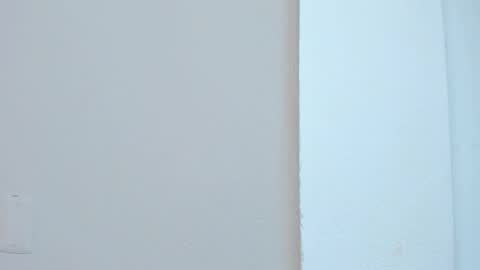 Liss 3 online show from November 4, 10:25 am