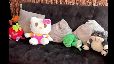 Snapshot of lia_rip01 chatting on October 17, 2:52 pm lia_rip01 online show from October 17, 2:52 pm