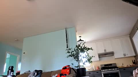 Snapshot of lickurpussygood40 chatting on October 24, 5:31 pm lickurpussygood40 online show from October 24, 5:31 pm