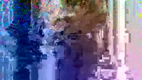 Light Mage online show from February 18, 7:59 am