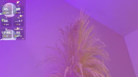 Liiam Luna online show from March 17, 9:01 am