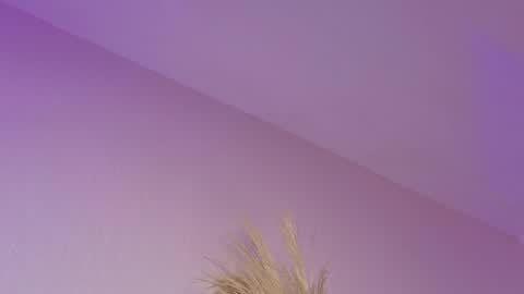 Liiam Luna online show from April 21, 11:05 am