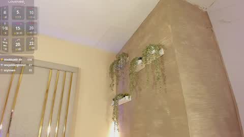 liincostelloo online show from February 19, 2:33 am