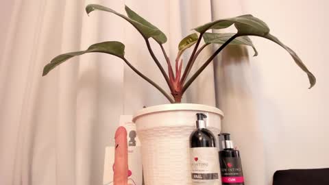 Snapshot of lila_elliot chatting on January 15, 10:46 pm Lila online show from January 15, 10:46 pm