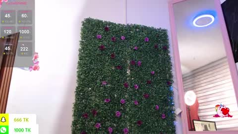   online show from April 6, 2:40 pm