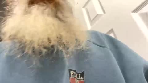 lilchaps69 online show from February 4, 5:46 am