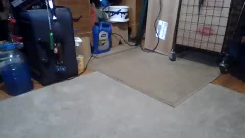 lildman420 online show from March 14, 5:51 pm