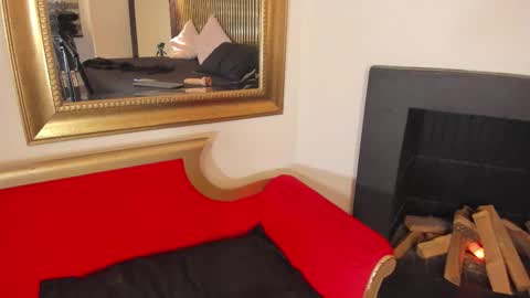   online show from November 12, 7:03 pm