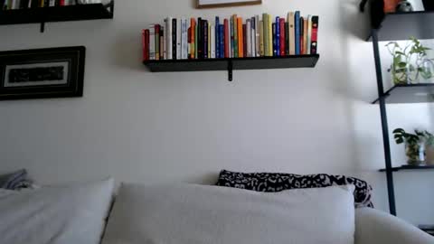 Jay  please help me reach 50 thumbs up online show from February 21, 6:42 pm