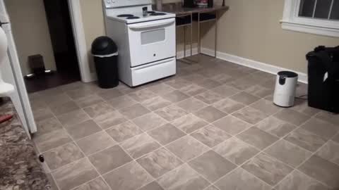 Snapshot of lilly_adams88 chatting on February 21, 1:00 am lilly_adams88 online show from February 21, 1:00 am