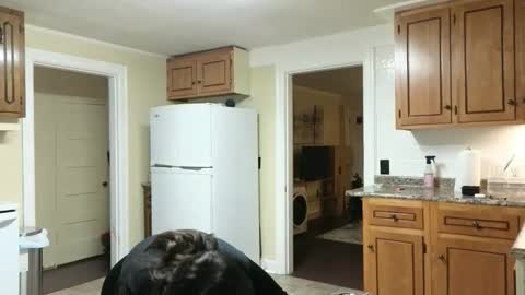 lilly_adams88 online show from November 24, 11:04 pm