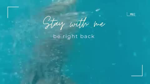 Snapshot of lily_foster_ chatting on November 10, 6:45 am Lily online show from November 10, 6:45 am