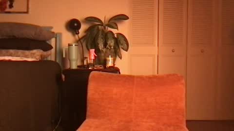 Snapshot of lily_henry chatting on June 19, 4:39 am Little Lily online show from June 19, 4:39 am