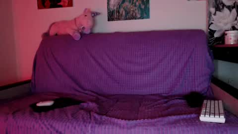 Lily Litle online show from December 8, 6:17 pm