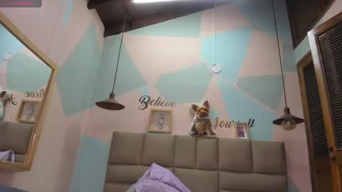 Lily online show from February 12, 11:18 am