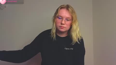 Snapshot of lime_cat chatting on November 17, 2:06 am lime cat online show from November 17, 2:06 am