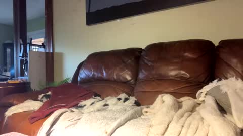 Richie Rich online show from December 6, 7:23 pm