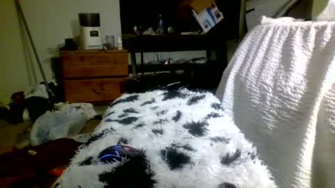 Richie Rich online show from December 30, 5:13 pm