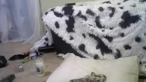 Richie Rich online show from February 18, 12:28 pm