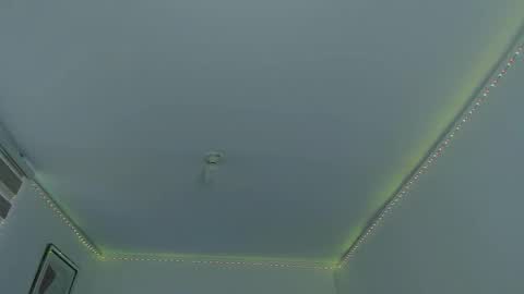   online show from February 12, 6:40 pm