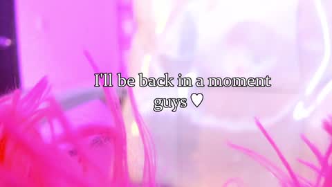 Snapshot of lindaa_miller chatting on January 24, 7:51 am linda miller online show from January 24, 7:51 am