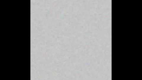 Lindsey online show from February 9, 10:19 am