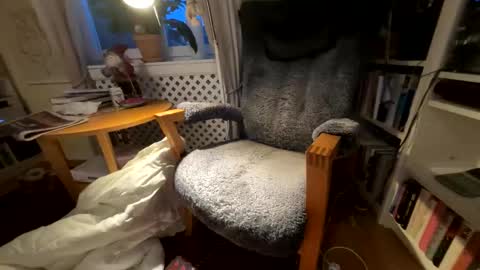 lingonkuk online show from November 25, 6:35 am