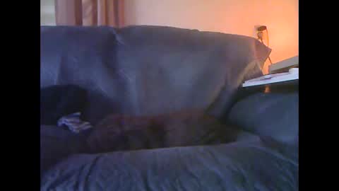 lion160868 online show from January 18, 9:13 am