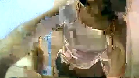 liora online show from March 11, 6:53 am