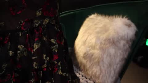 Snapshot of lireesa chatting on February 20, 4:18 am Lire online show from February 20, 4:18 am