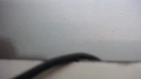 lisa_branch online show from September 20, 10:27 am