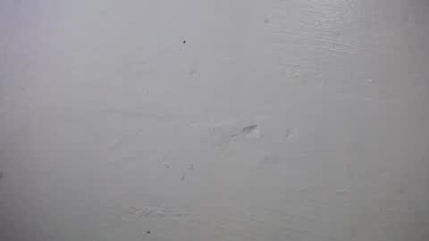 lisa_branch online show from October 4, 10:24 am