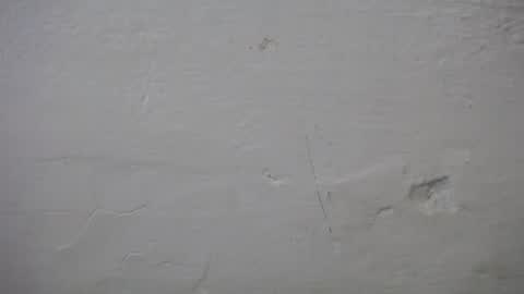 lisa_branch online show from October 6, 7:11 pm