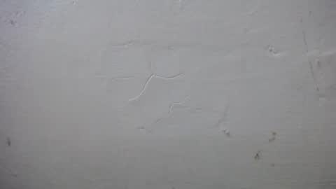 lisa_branch online show from October 13, 7:25 pm