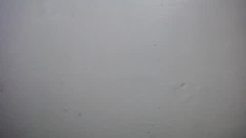 lisa_branch online show from October 18, 10:16 am