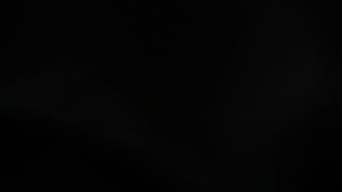 Snapshot of lisa_gerrard_ chatting on October 10, 11:31 am Lisa online show from October 10, 11:31 am